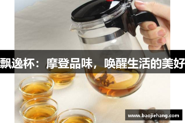飘逸杯：摩登品味，唤醒生活的美好